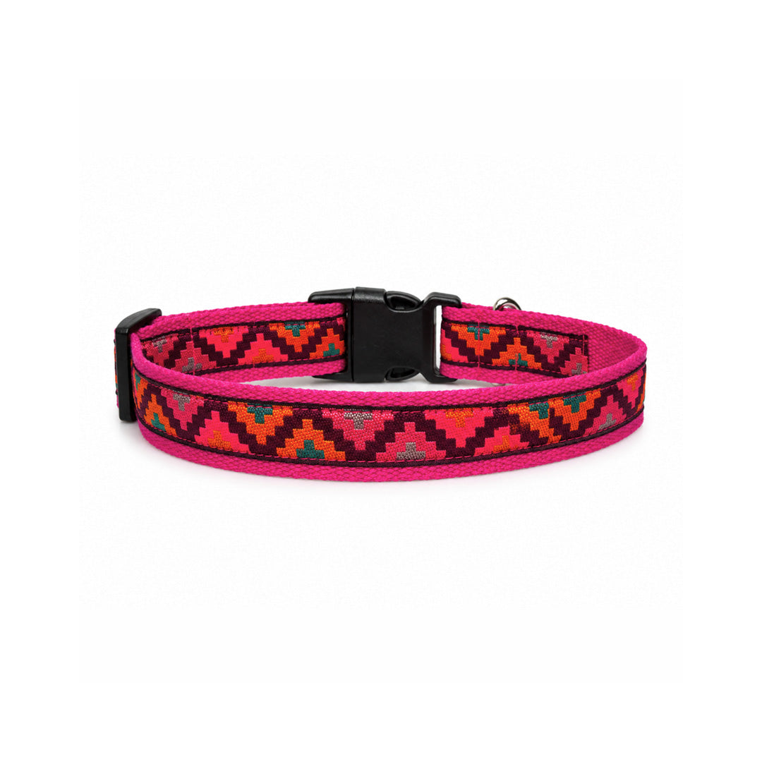 ARAMESH Gulaal Cotton Collar & Leash Set