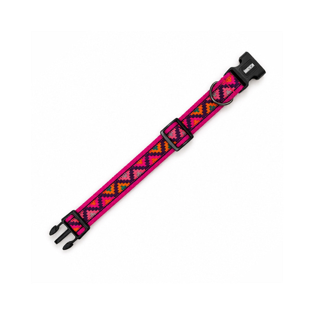 ARAMESH Gulaal Cotton Collar & Leash Set