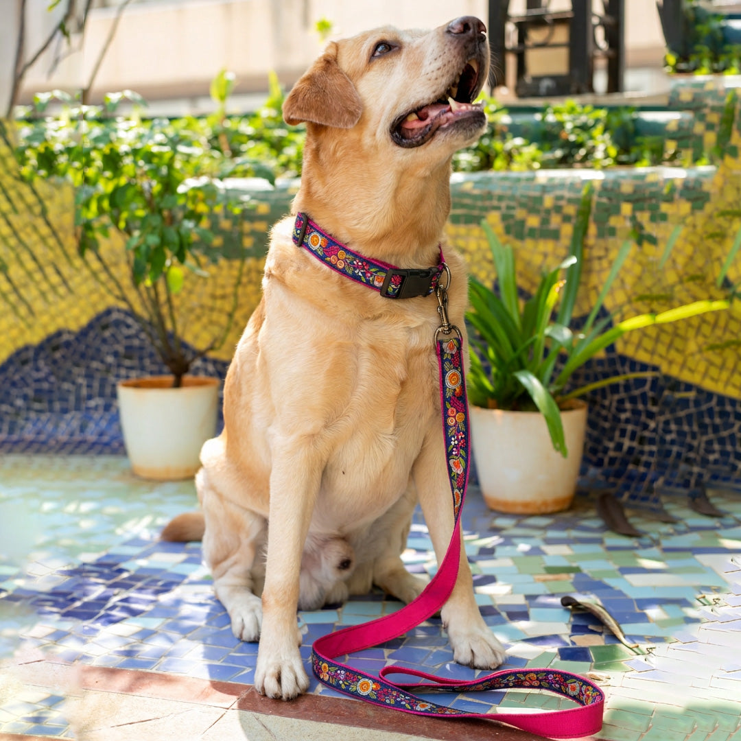 ARAMESH Gulzaar Cotton Collar & Leash Set