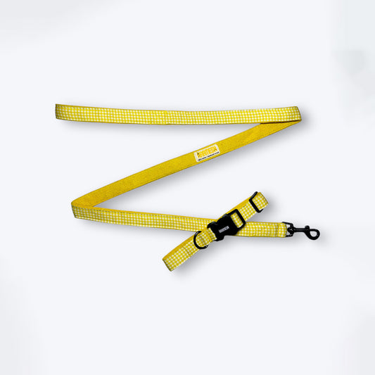 ARAMESH Lemonade Cotton Collar & Leash Set