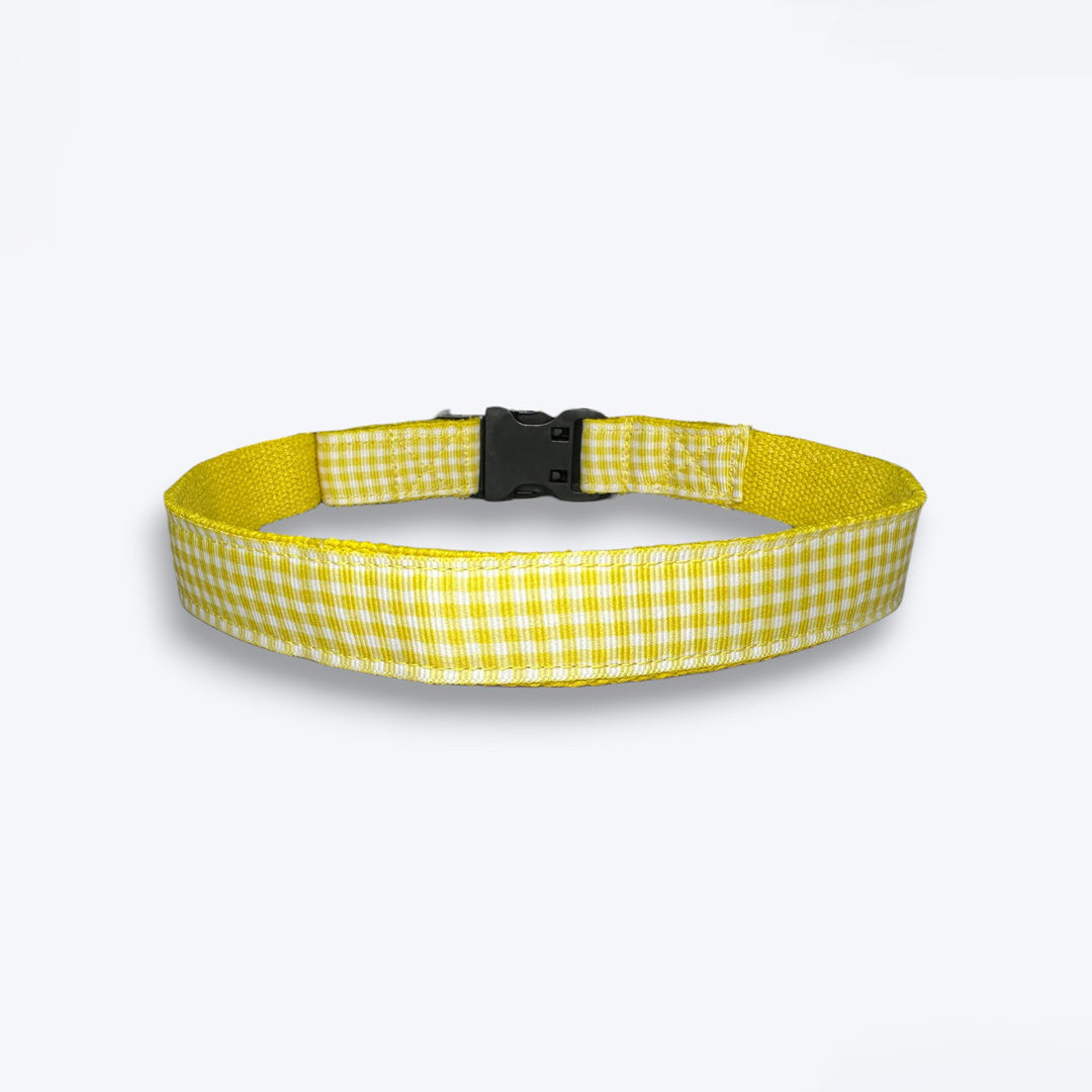 ARAMESH Lemonade Cotton Collar & Leash Set