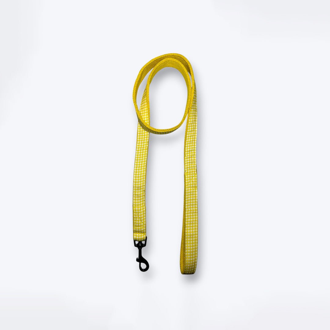 ARAMESH Lemonade Cotton Collar & Leash Set