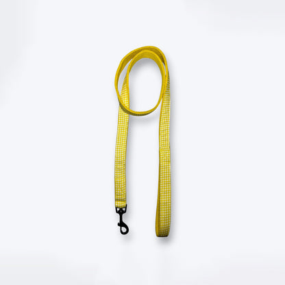 ARAMESH Lemonade Cotton Collar & Leash Set