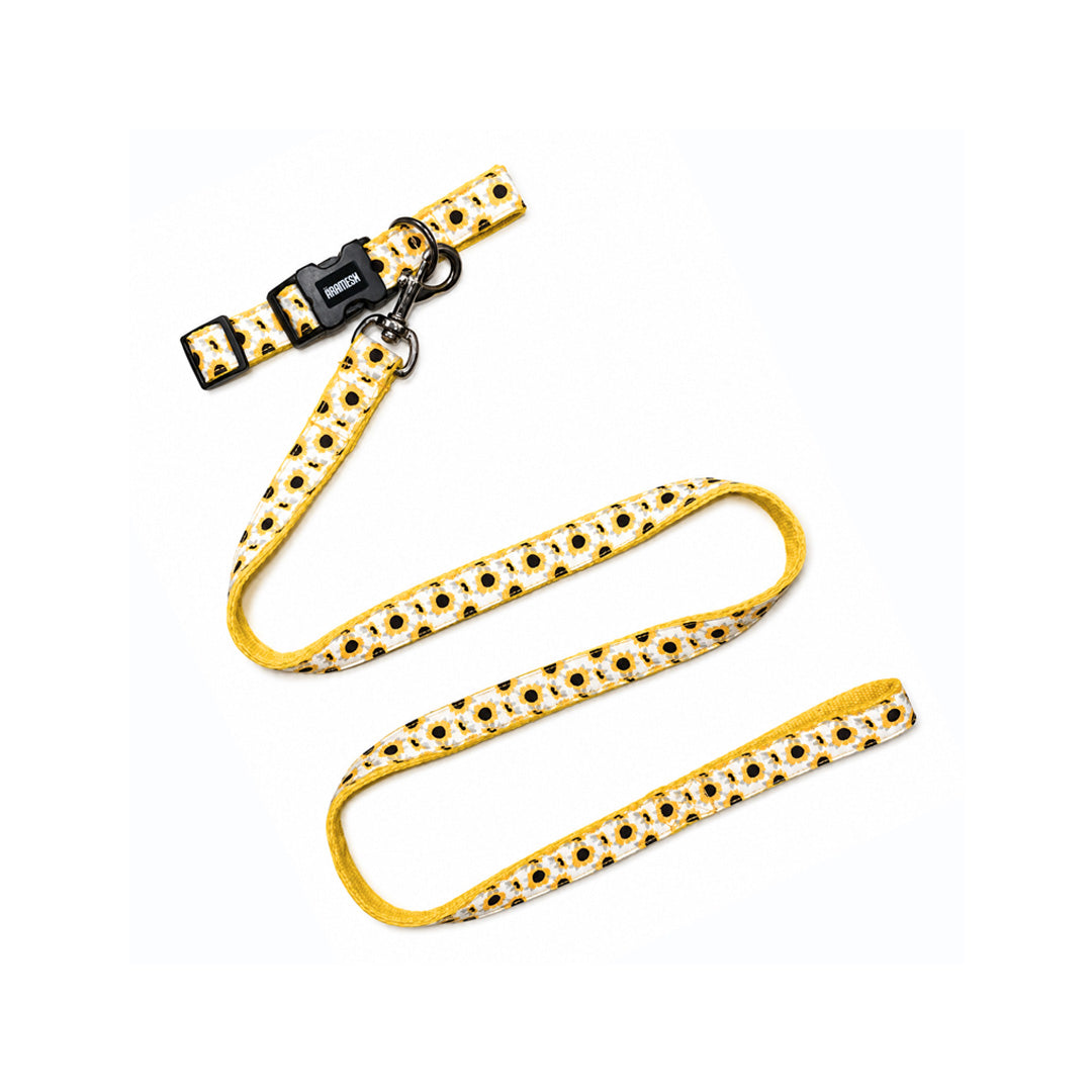 ARAMESH Sunny Days Cotton Collar & Leash Set