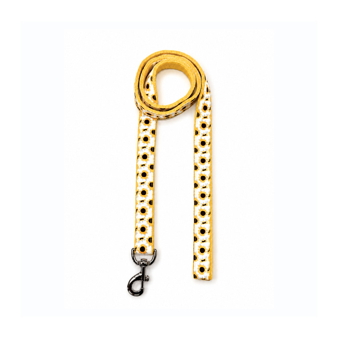 ARAMESH Sunny Days Cotton Collar & Leash Set