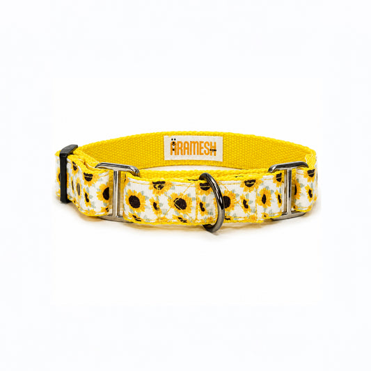 ARAMESH Sunny Days Cotton Martingale Collar