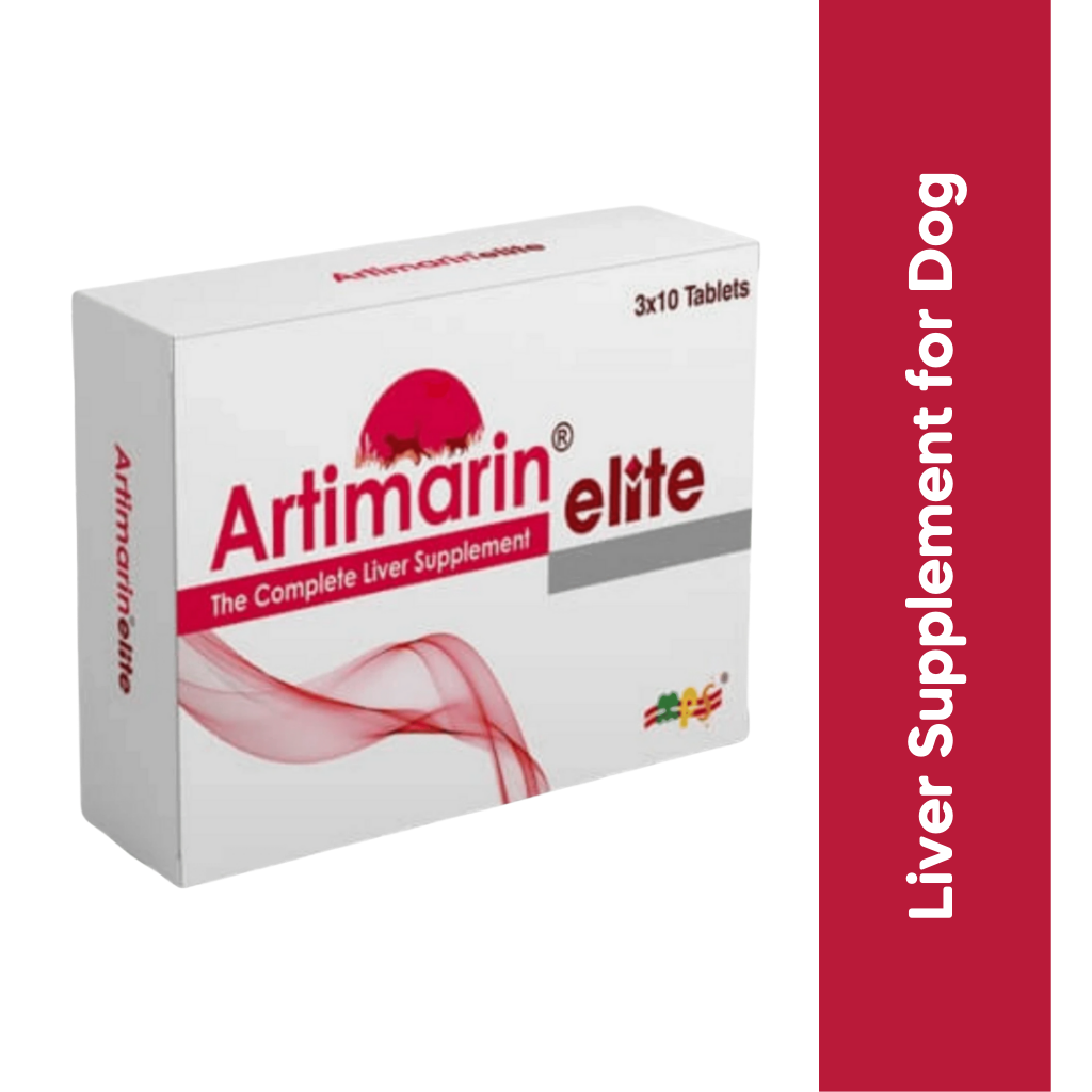 ARTIMARINE ELITE TABLET - Animeal