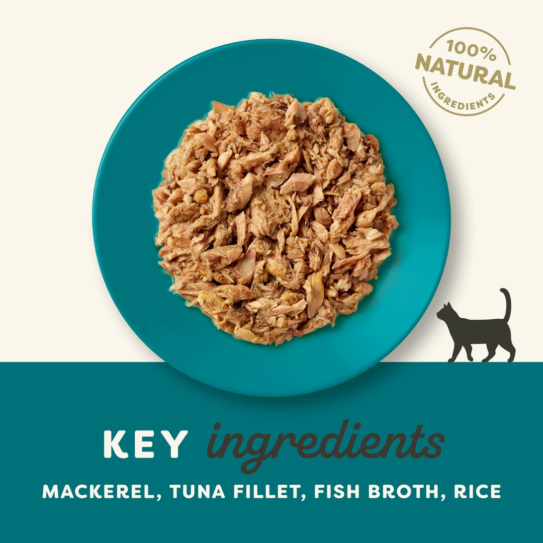 Applaws Natural Premium Wet Cat Food for Adult Cats, Ocean Fish in Broth 70g Can