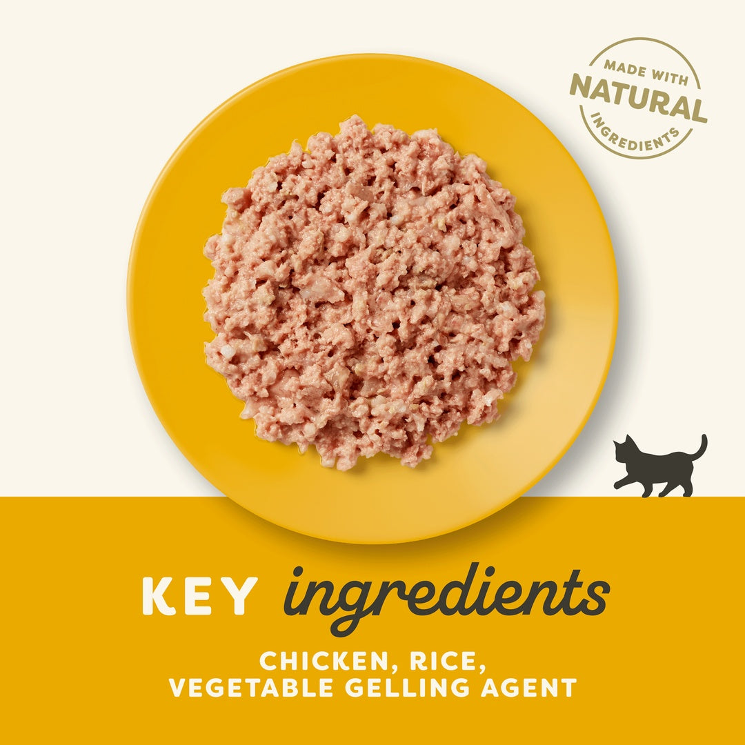 Applaws Natural Premium Wet Cat Food for Kitten, Chicken Breast in Broth 70g Can