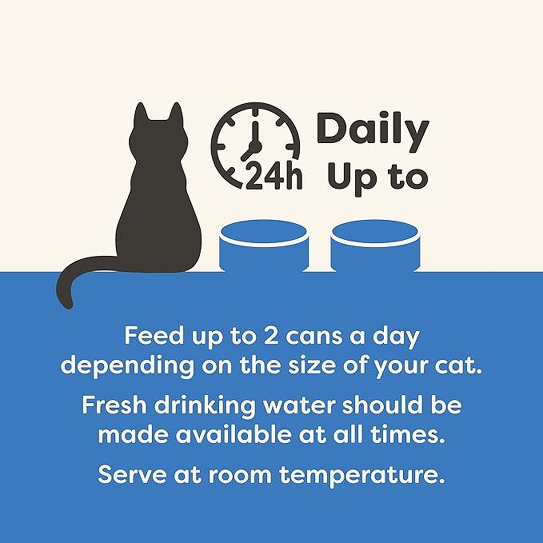 Applaws Natural Premium Wet Cat Food for Kitten, Chicken Breast in Broth 70g Can