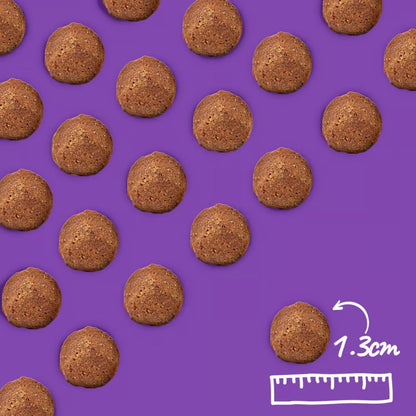 Arden Grange Adult Large Breed Dry Dog Food Chicken & Rice Hypoallergenic Food for All Breeds 2kg