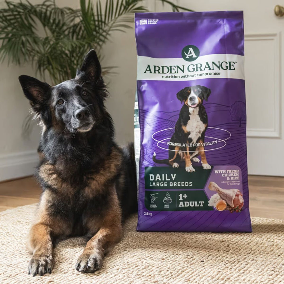 Arden Grange Adult Large Breed Dry Dog Food Chicken & Rice Hypoallergenic Food for All Breeds 2kg