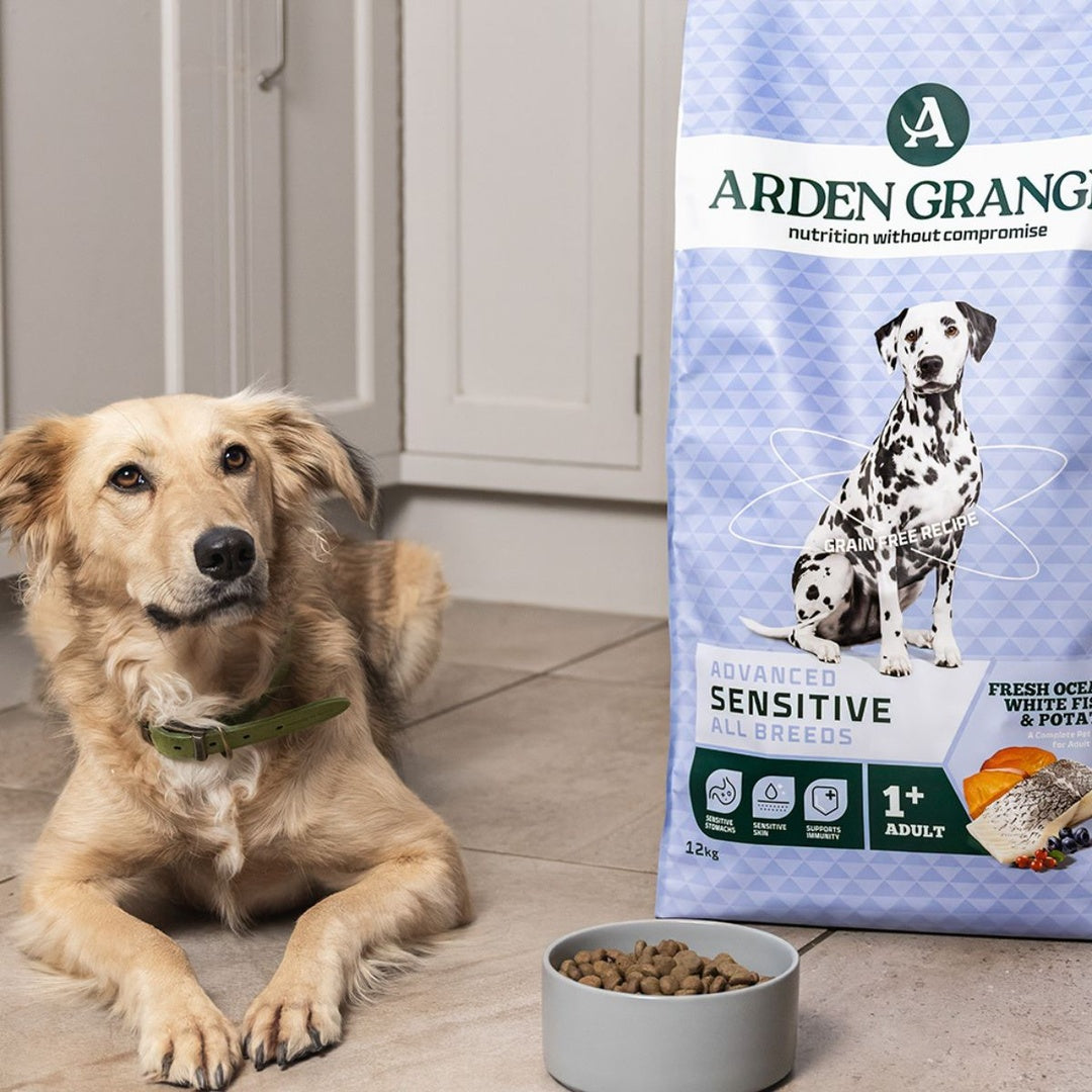 Arden Grange Sensitive Adult Dog Food Grain Free Ocean White Fish & Potato Hypoallergenic Dry Food for Dogs with Sensitive Skin & Digestion 2kg