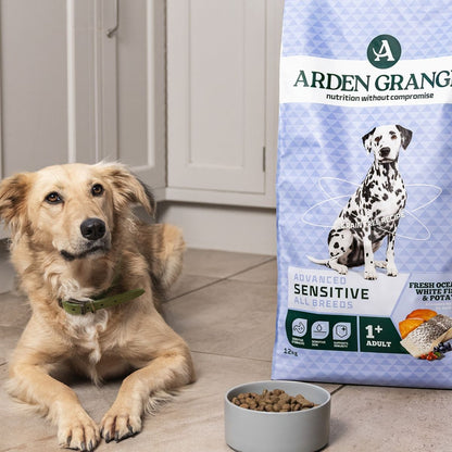 Arden Grange Sensitive Adult Dog Food Grain Free Ocean White Fish & Potato Hypoallergenic Dry Food for Dogs with Sensitive Skin & Digestion 2kg