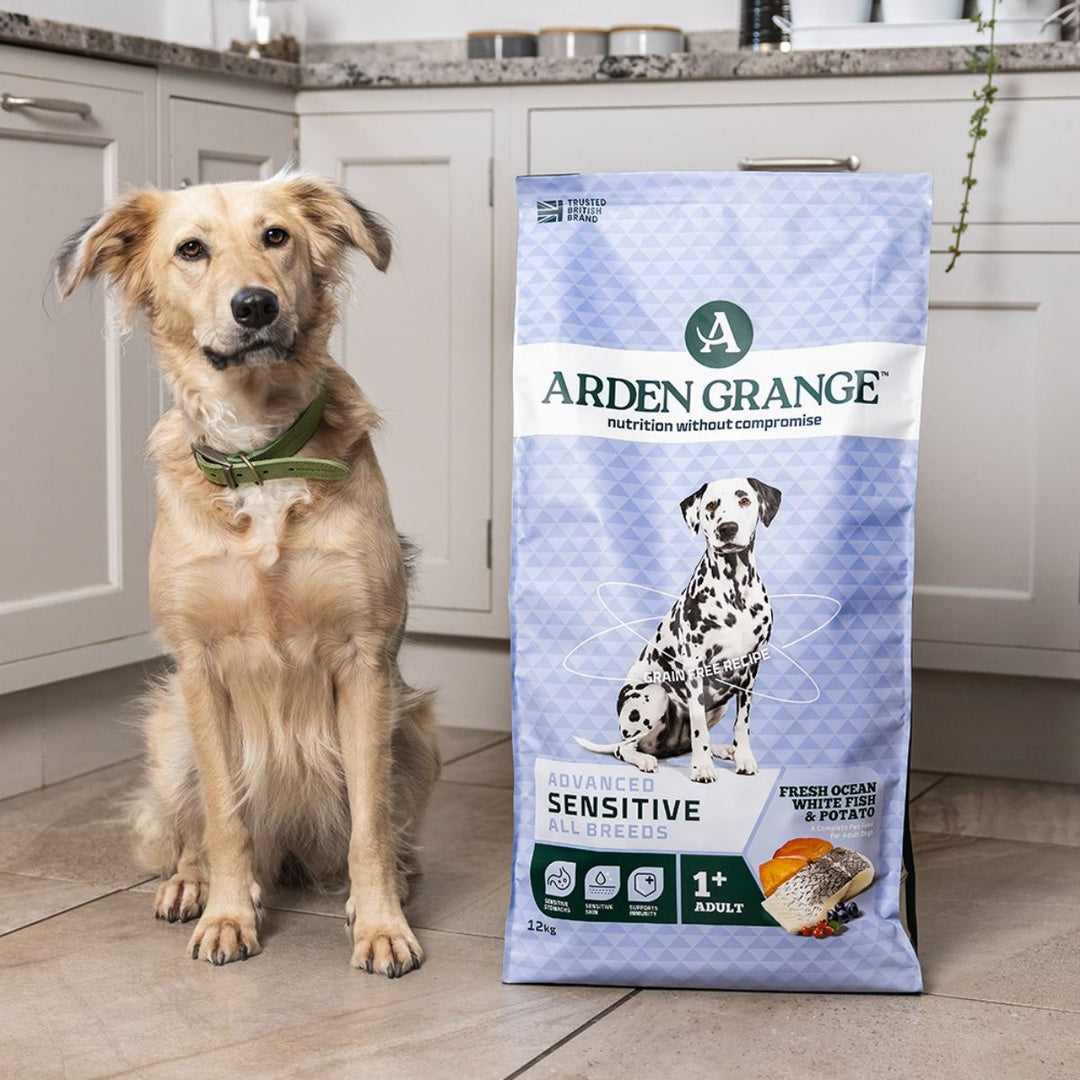 Arden Grange Sensitive Adult Dog Food Grain Free Ocean White Fish & Potato Hypoallergenic Dry Food for Dogs with Sensitive Skin & Digestion 2kg