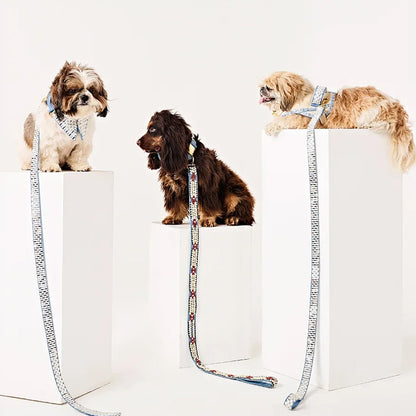 Ashna Vaswani Blue Ivory Coutour Dog Harness  And Leash