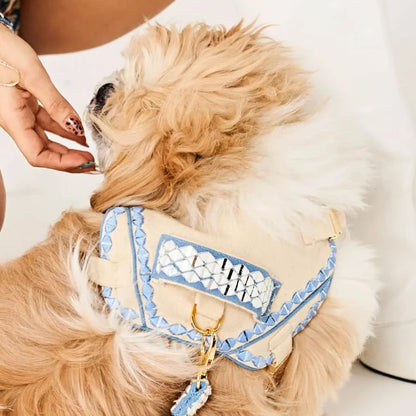 Ashna Vaswani Blue Ivory Coutour Dog Harness  And Leash