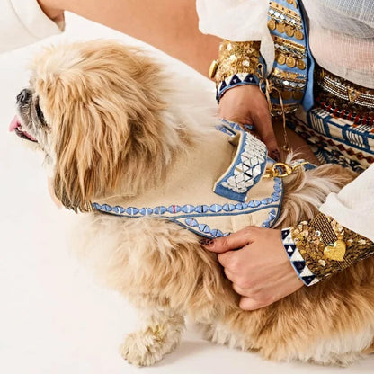 Ashna Vaswani Blue Ivory Coutour Dog Harness  And Leash