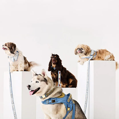 Ashna Vaswani Blue Ivory Coutour Dog Harness  And Leash