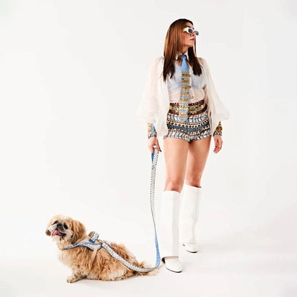 Ashna Vaswani Blue Ivory Coutour Dog Harness  And Leash
