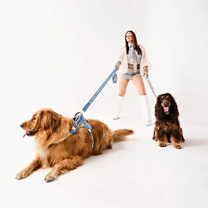 Ashna Vaswani Blue Majesty Swan Dog Collar, Harness And Leash