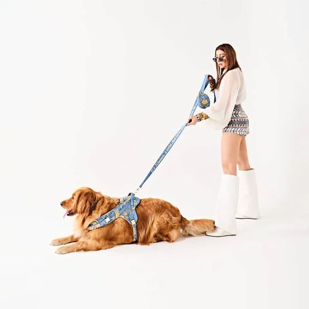 Ashna Vaswani Blue Majesty Swan Dog Collar, Harness And Leash