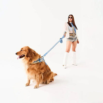 Ashna Vaswani Blue Majesty Swan Dog Collar, Harness And Leash
