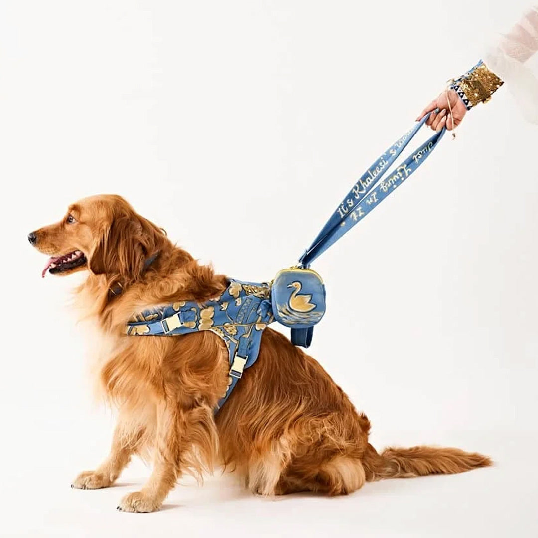 Ashna Vaswani Blue Majesty Swan Dog Collar, Harness And Leash