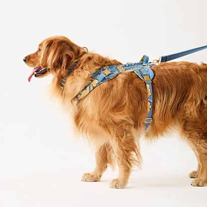 Ashna Vaswani Blue Majesty Swan Dog Collar, Harness And Leash