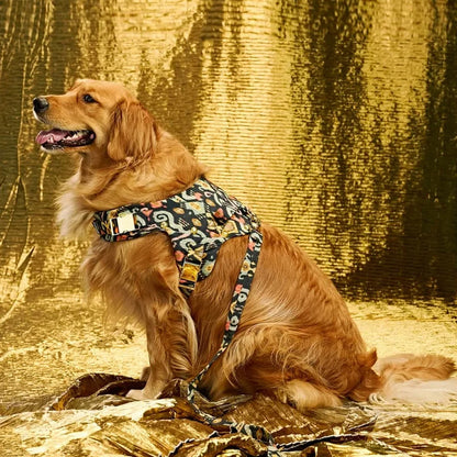 Ashna Vaswani Boho Luxe Dog Collar, Harness And Leash