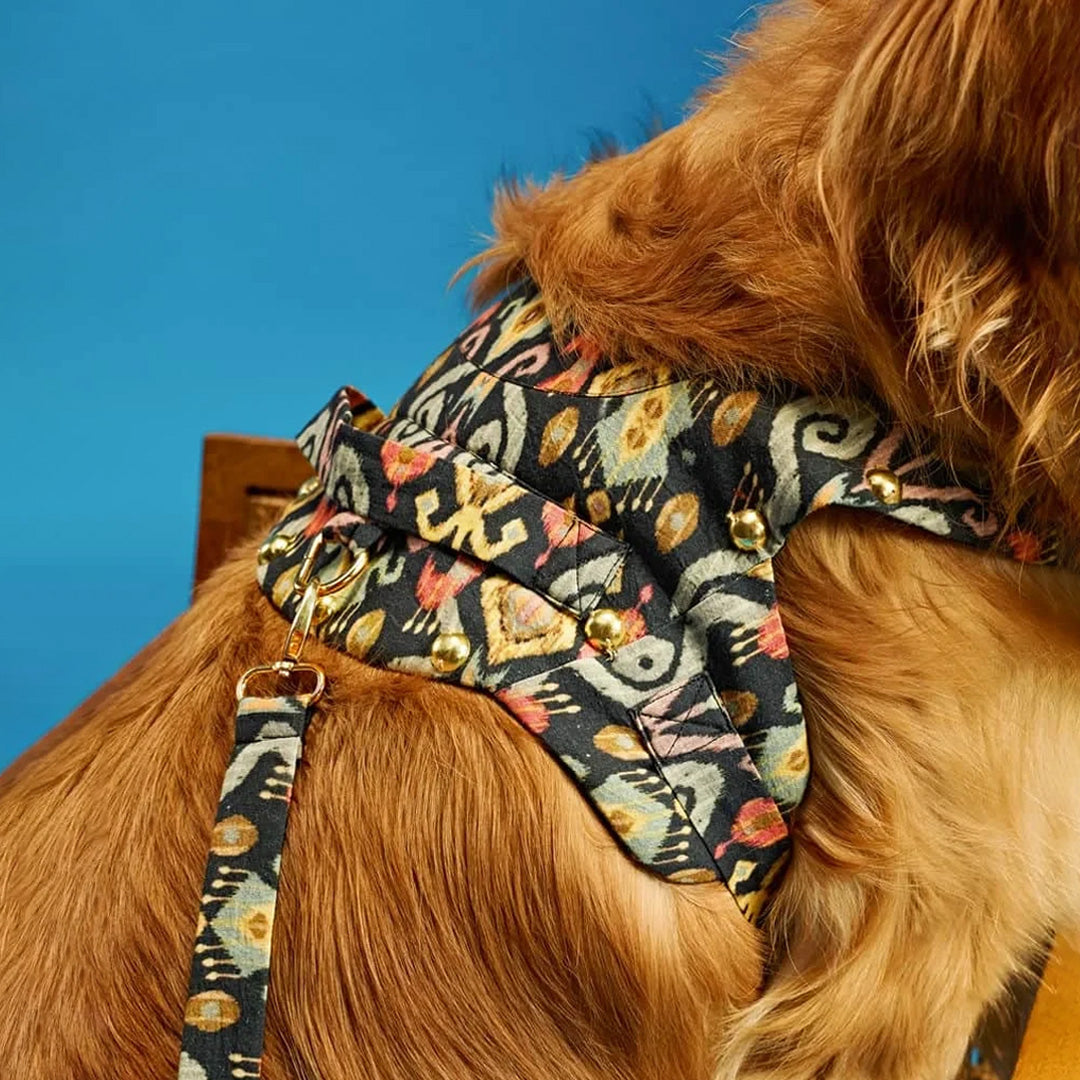 Ashna Vaswani Boho Luxe Dog Collar, Harness And Leash