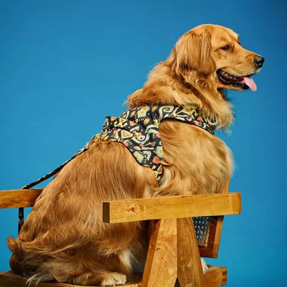 Ashna Vaswani Boho Luxe Dog Collar, Harness And Leash