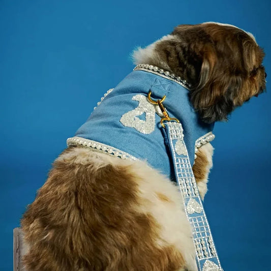 Ashna Vaswani Denim Pearl Couture Dog Harness