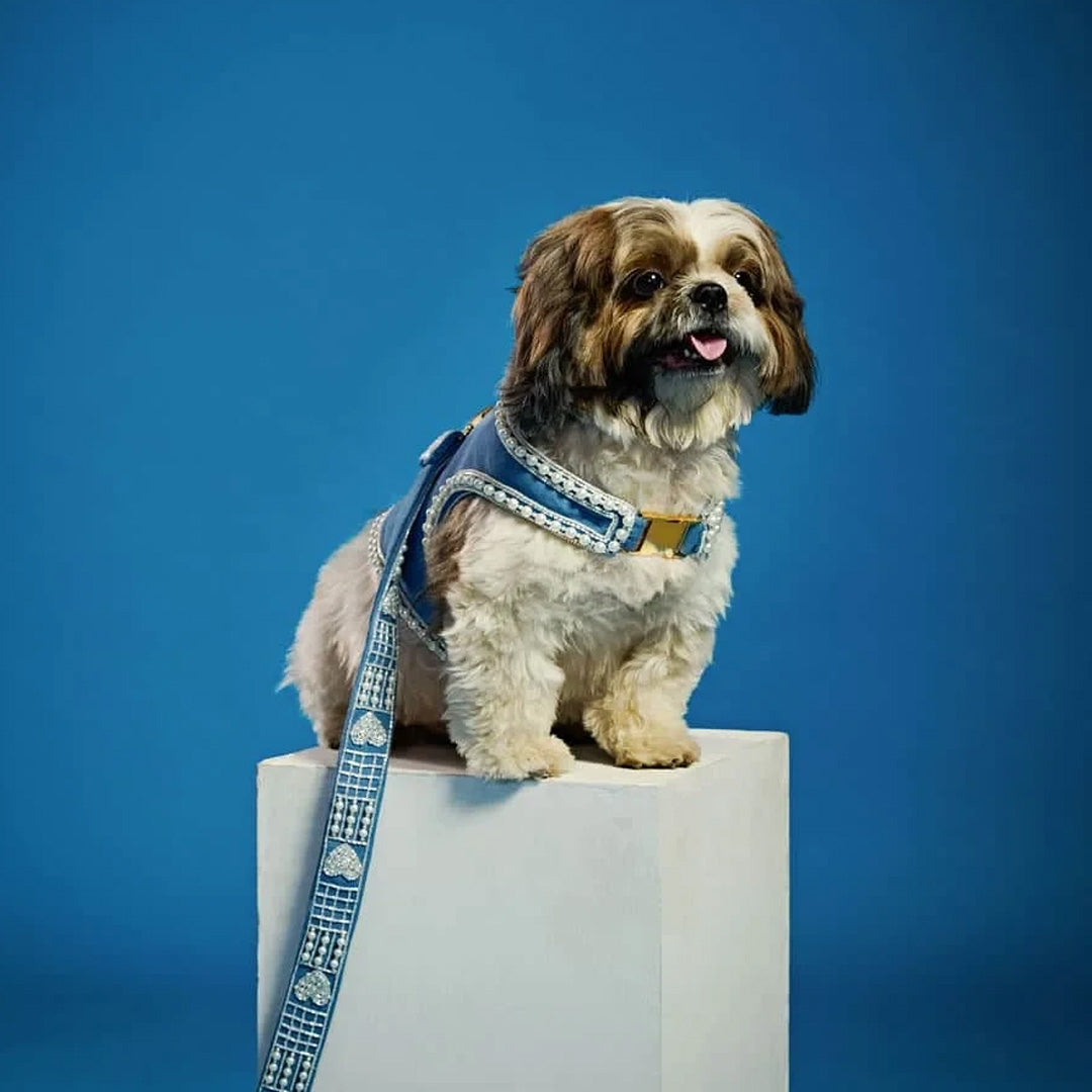 Ashna Vaswani Denim Pearl Couture Dog Harness