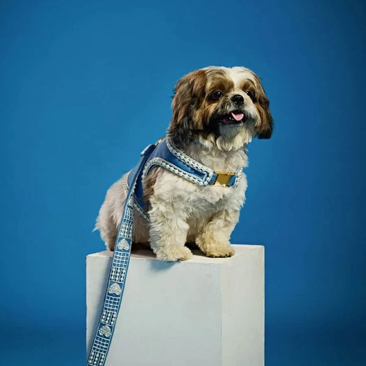 Ashna Vaswani Denim Pearl Couture Dog Harness