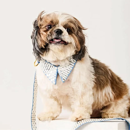 Ashna Vaswani Frosted Jewel Luxe Dog Collar And Leash
