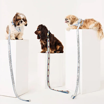 Ashna Vaswani Frosted Jewel Luxe Dog Collar And Leash