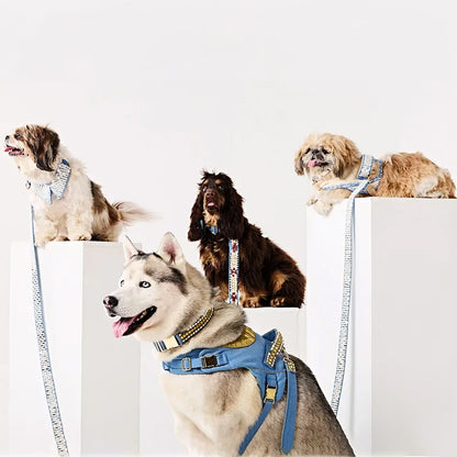 Ashna Vaswani Frosted Jewel Luxe Dog Collar And Leash