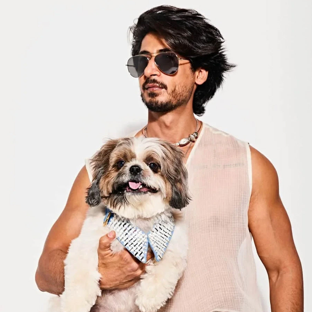 Ashna Vaswani Frosted Jewel Luxe Dog Collar And Leash