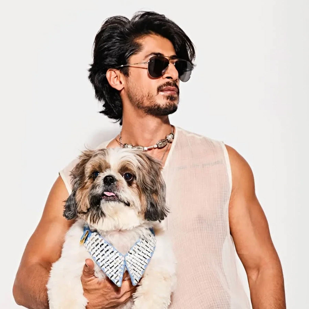 Ashna Vaswani Frosted Jewel Luxe Dog Collar And Leash