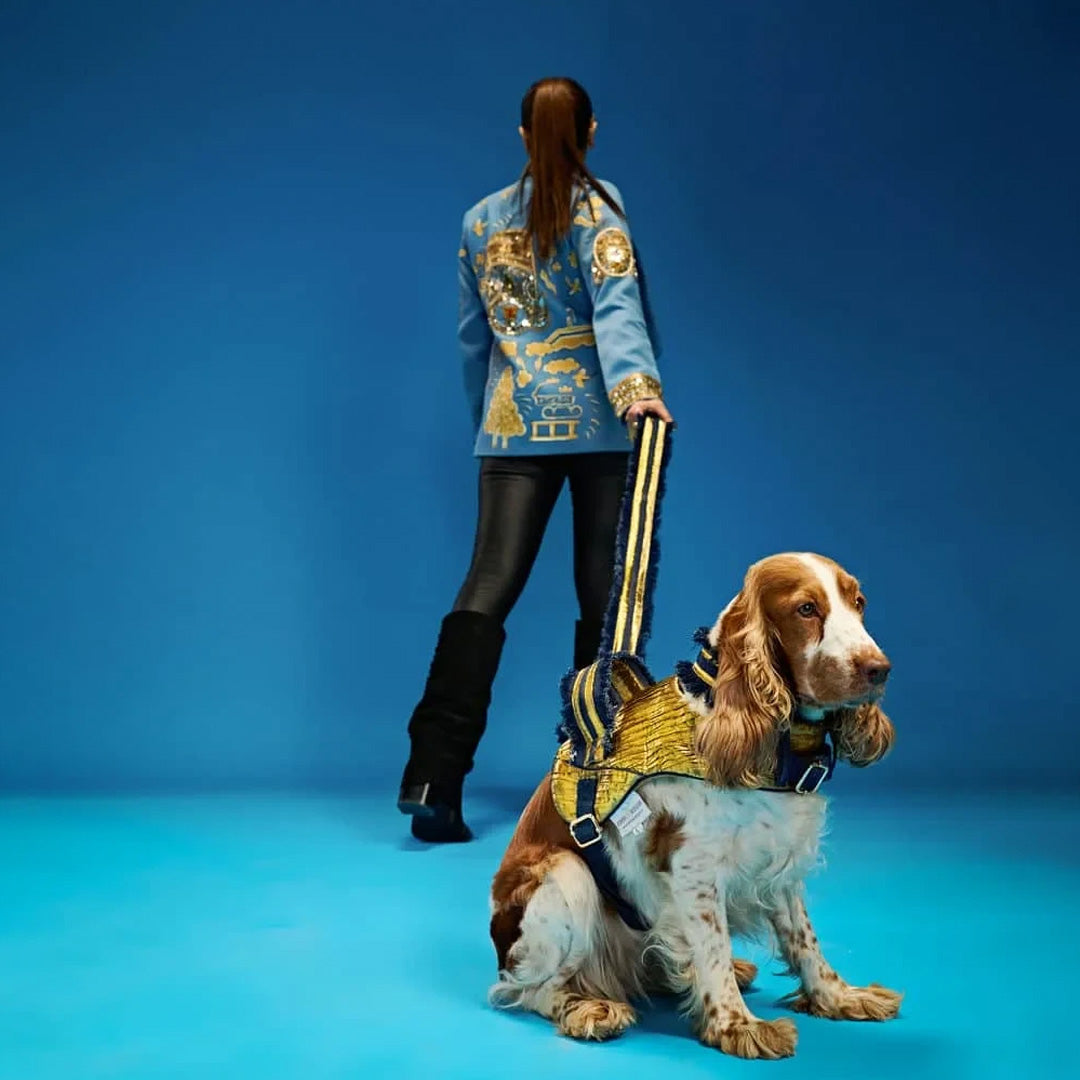 Ashna Vaswani Imperial Gold Edition Dog Collar, Harness And Leash