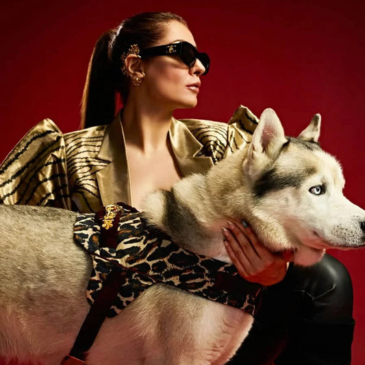 Ashna Vaswani Leopard Essence Designer Dog Harness And Leash