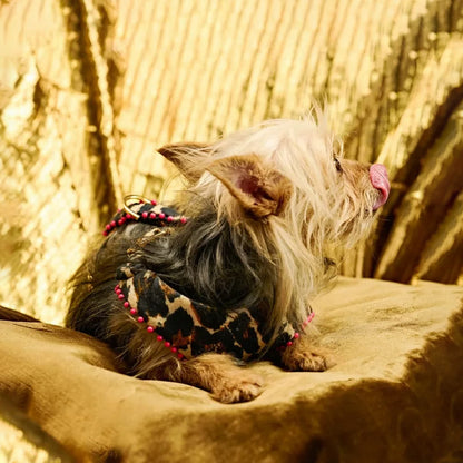 Ashna Vaswani Leopard Glam Couture Dog Harness