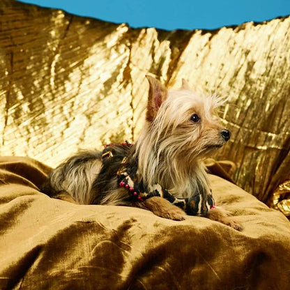 Ashna Vaswani Leopard Glam Couture Dog Harness