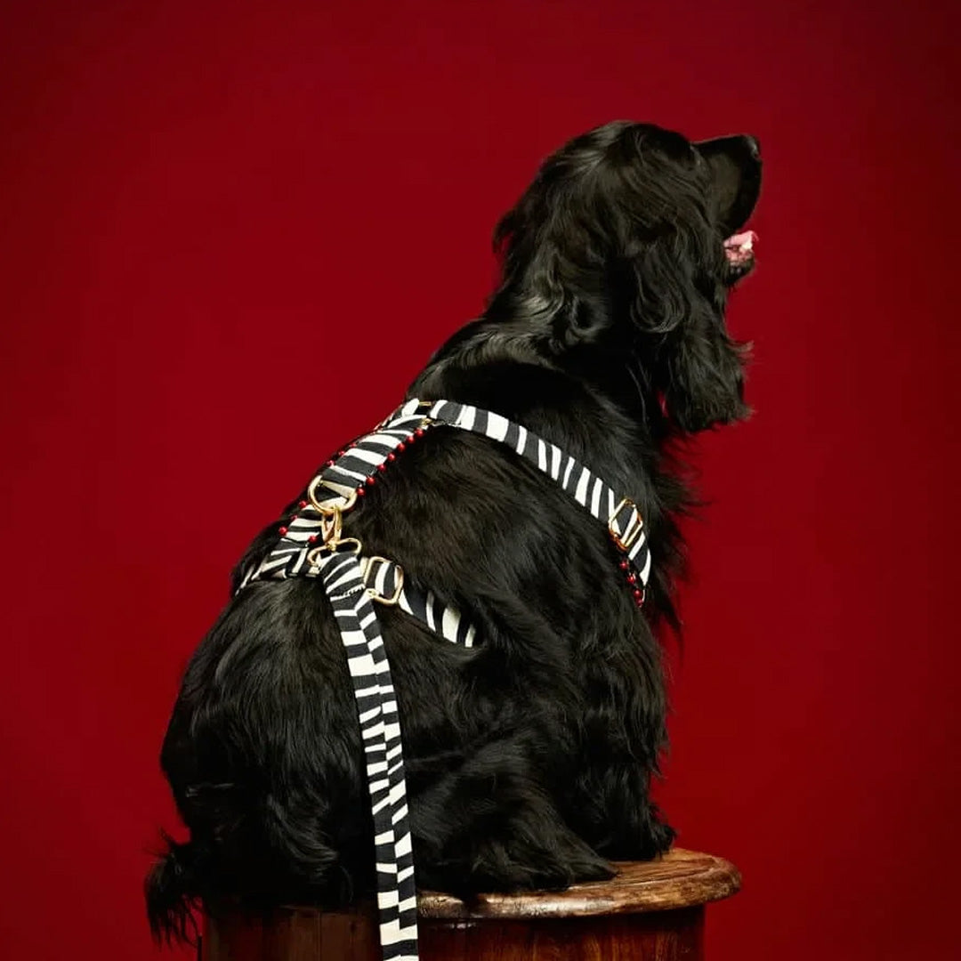 Ashna Vaswani Leopard Glam Couture Dog Leash And Harness