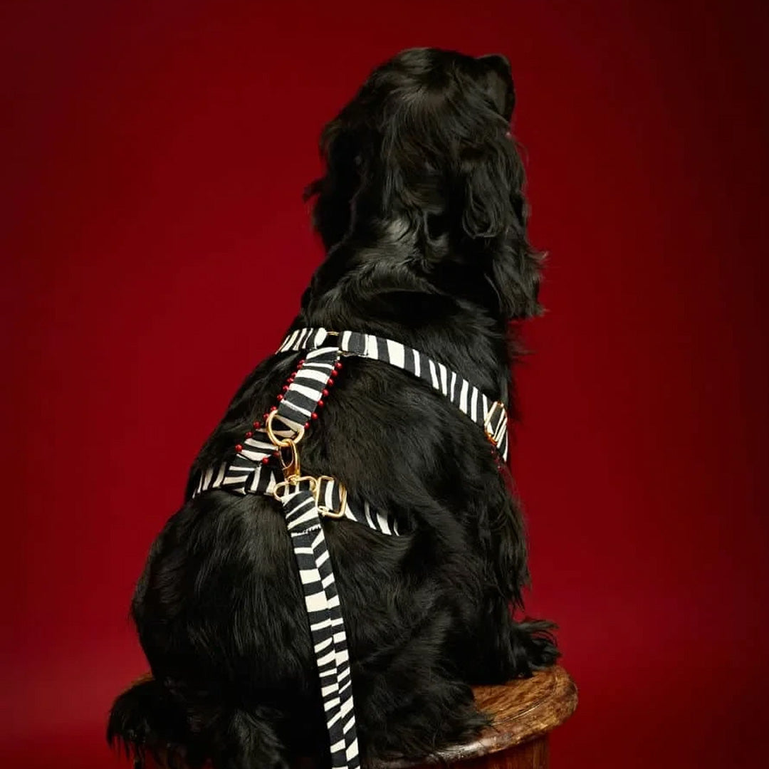 Ashna Vaswani Leopard Glam Couture Dog Leash And Harness