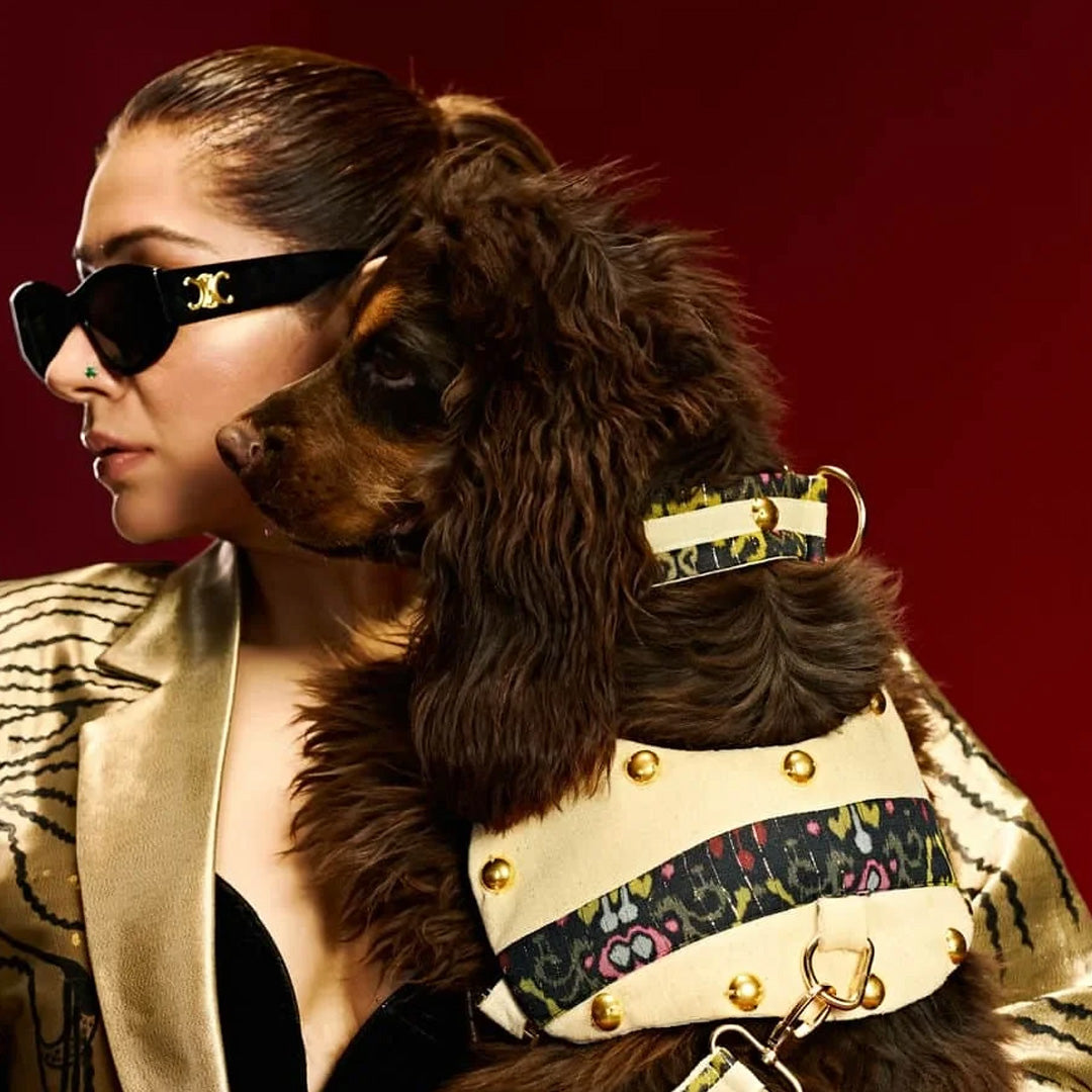 Ashna Vaswani Obsidian Royale Luxe Dog Collar, Harness And Leash