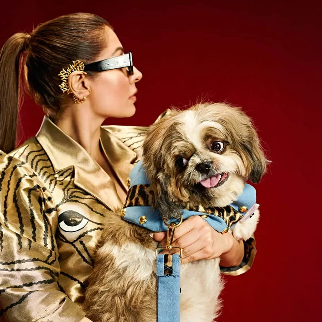 Ashna Vaswani Opulent Leopard Blue Dog Collar, Harness And Leash