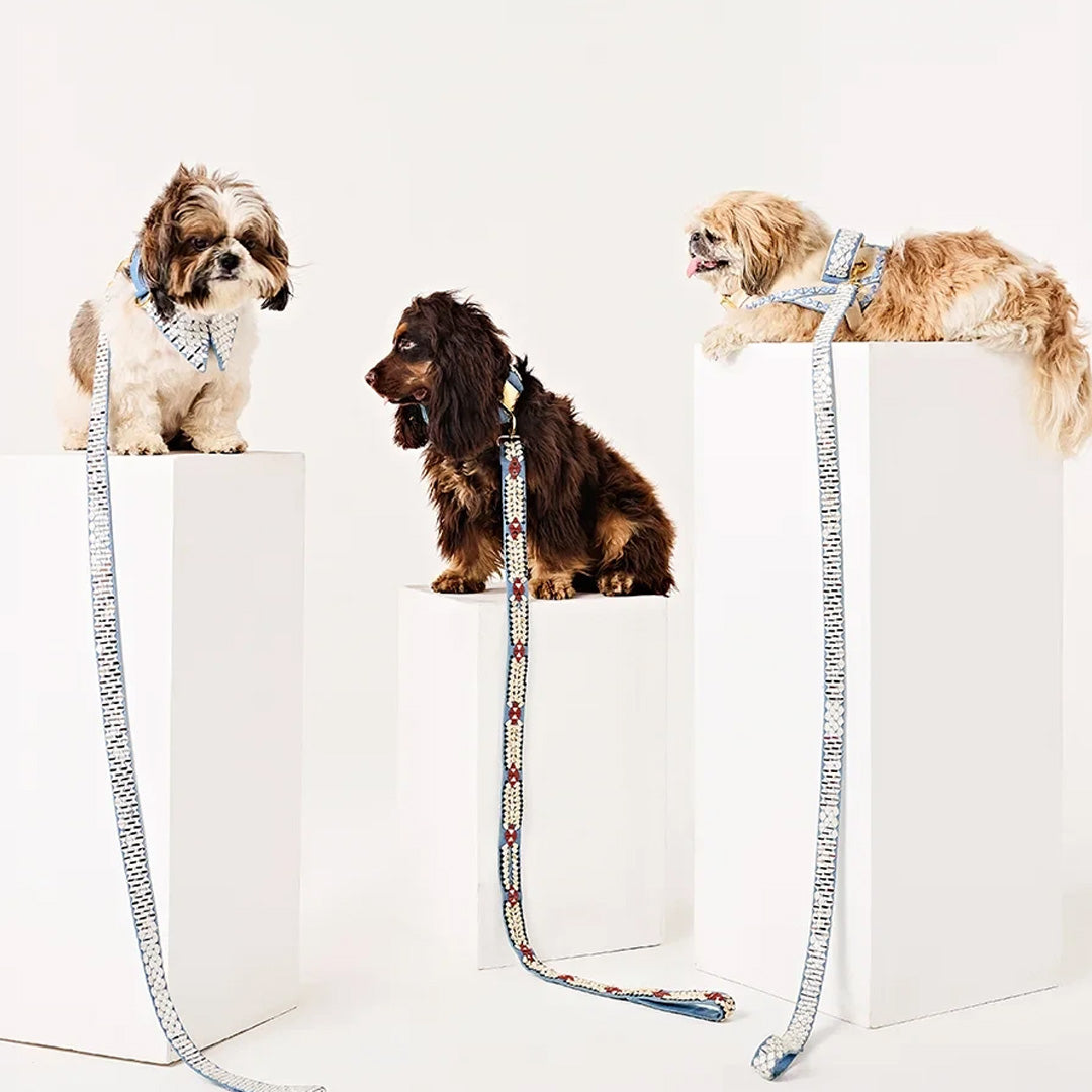 Ashna Vaswani Royal Bow Dog Collar
