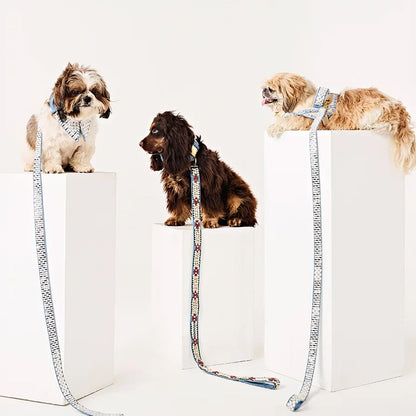 Ashna Vaswani Royal Bow Dog Collar